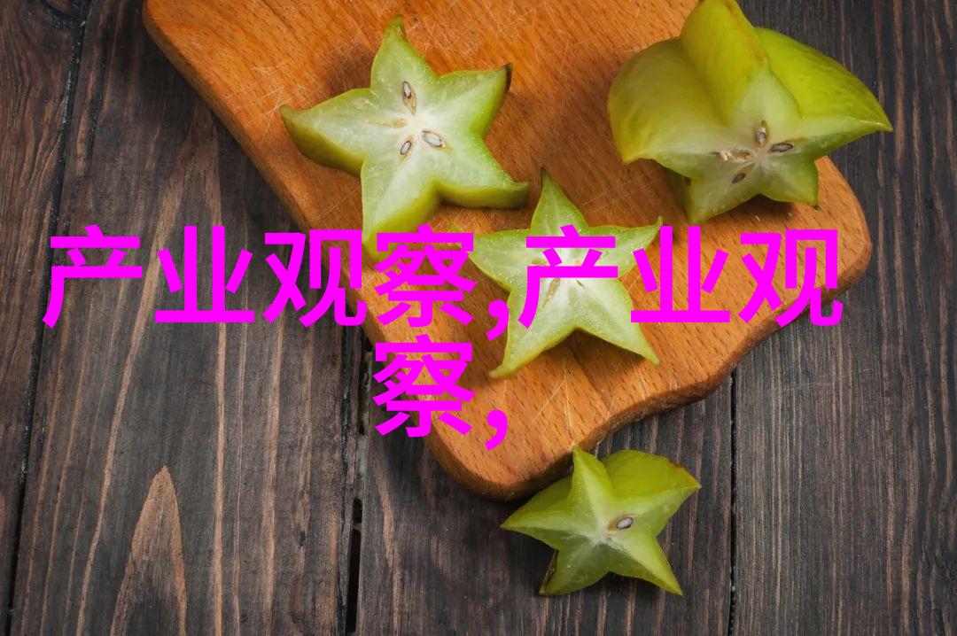 书页间的旅行两本书的奇遇记