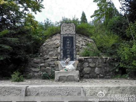 健康生活 40岁白头发的秘密年龄遗传与生活方式