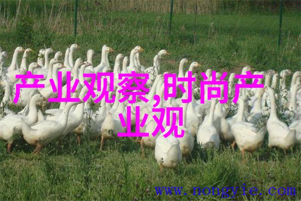 在无尽的数据海洋中404skixixkino的回声穿梭于虚拟与现实之间追寻着那份被遗忘的电影梦想