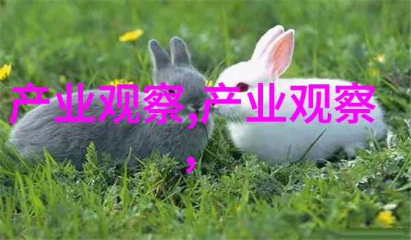 天地不仁以万物为刍狗