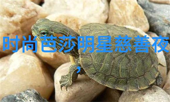 朋友的妈妈2015年11月12日上映纪念