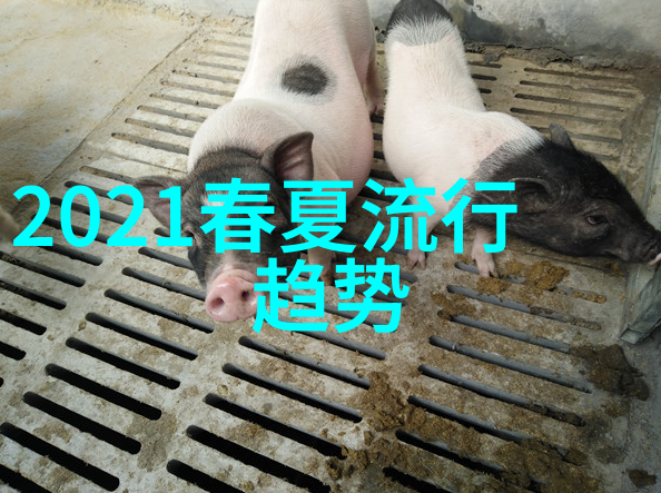 家具我是怎么把你装扮成超级厨房的