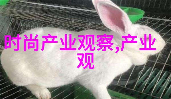 数字的守护者493背后的故事与影响