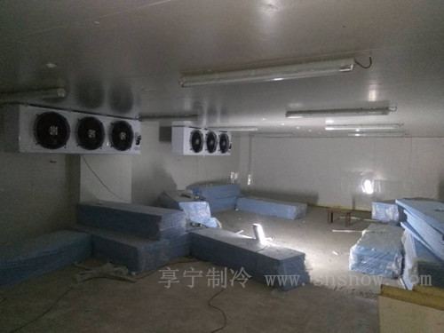 在不同的年龄阶段什么样的发型最为合适呢
