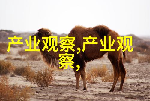 消失的号码493背后的谜团