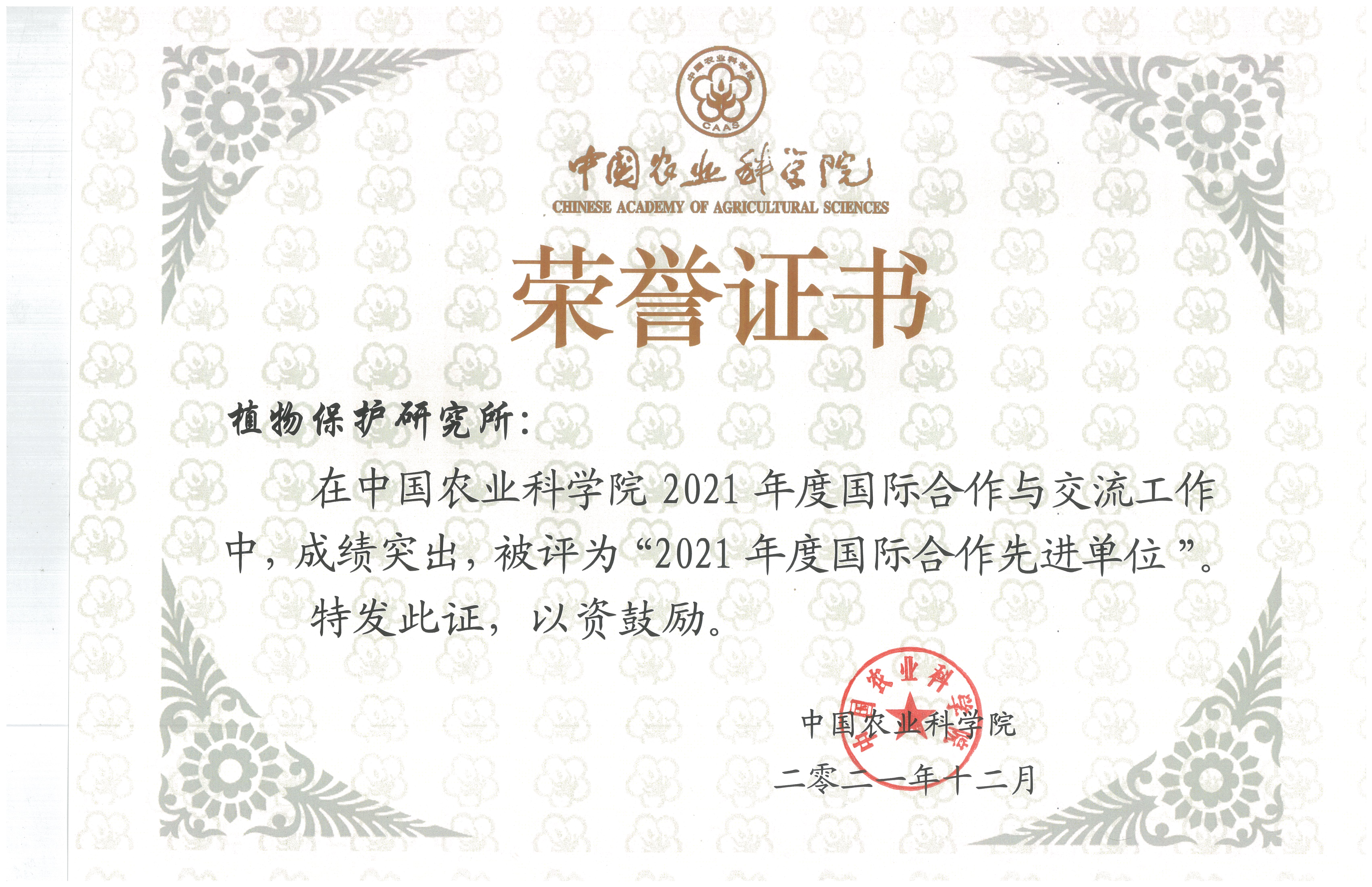 日常护理如何自己做头皮按摩和洗澡