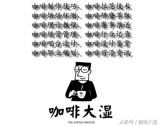 简单日常头发扎法美丽生活的简易技巧