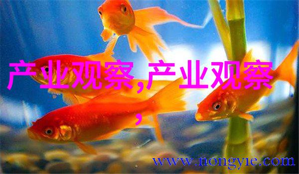剪刀在手中颤抖未知的风格等待着被触发