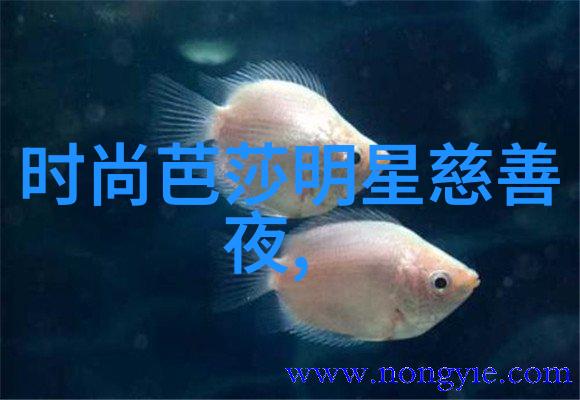 张晓龙逆袭的孤狼