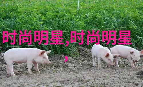 0基础学美发需要多久-从零到精通美发师的快速成长之路