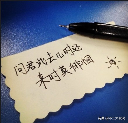 V领针织衫时尚单品的温柔魅力