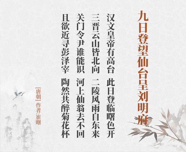 时尚之冠绚丽的V领针织衫