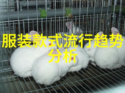 夏季解锁轻松自制海滩风编发教程