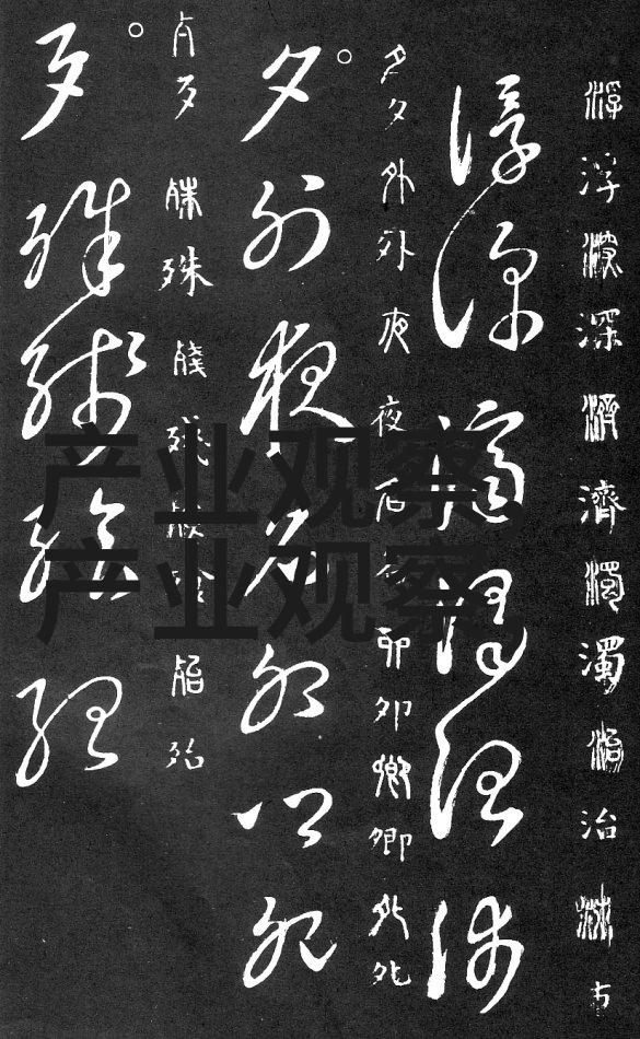 战狼2火爆票房背后的故事深度解析