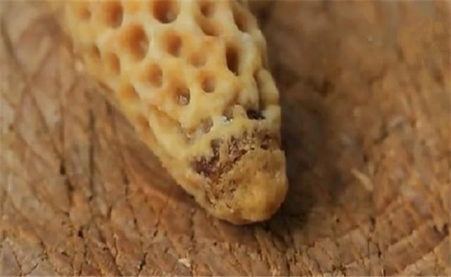男士理发教程手法之谜揭秘完美剪发技巧