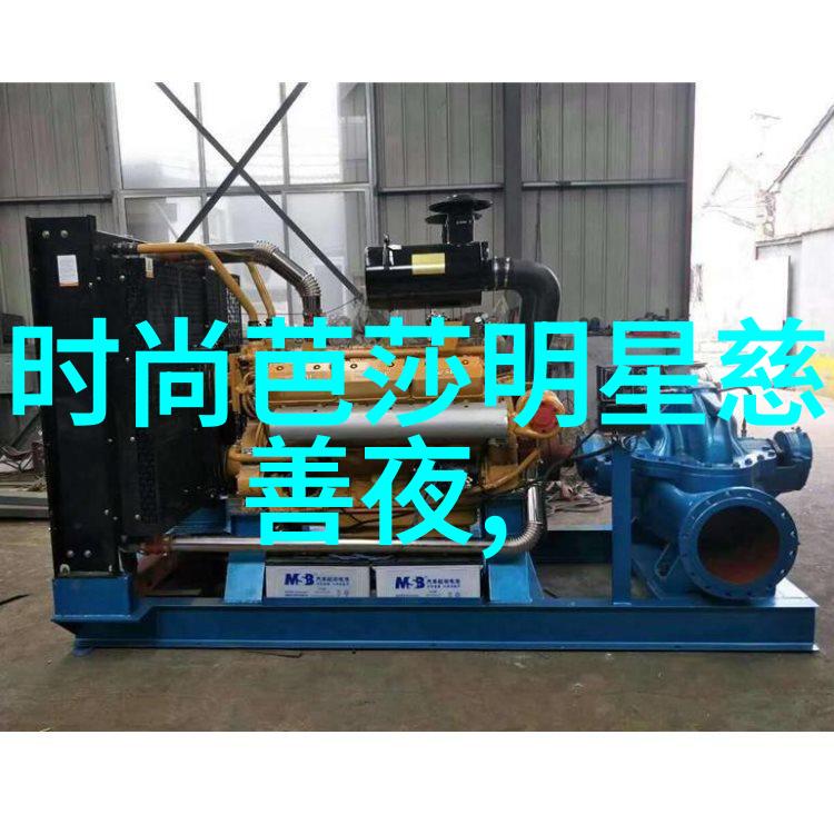 新宁物流公司的发展历程与未来展望