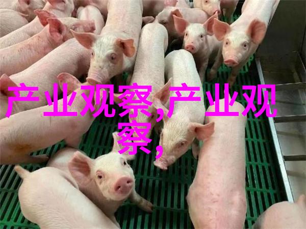 小小帅哥的发型魔法6-8岁男孩时尚造型指南