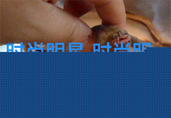 秘密的发型揭开今年女孩们心仪的美丽之谜