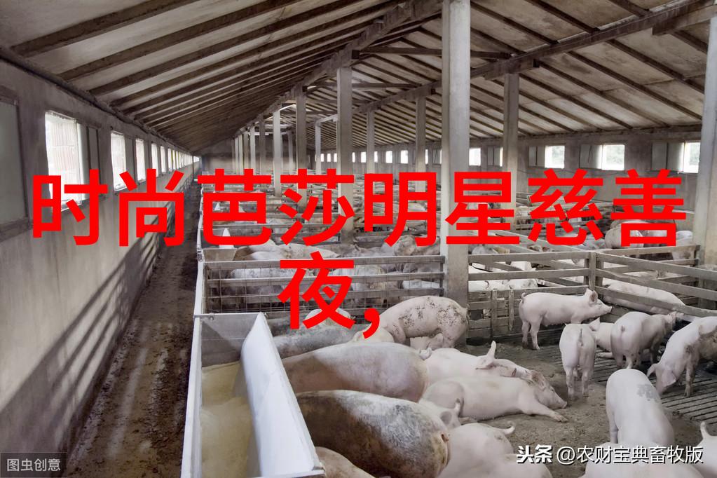 时尚前沿2023年最流行的头发造型