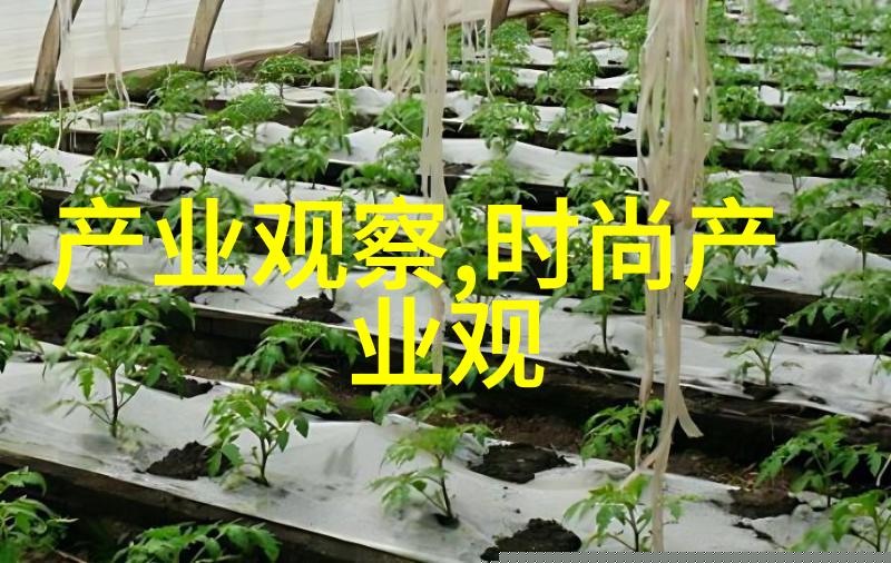告白的温度爱在静谧夜空下绽放