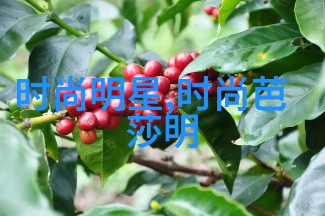 张绍刚刘莉莉情深缘浅的双生花