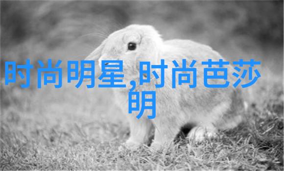 逆袭寨主女主角的痛苦之旅与男神的深度理解