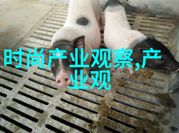 削减时间不损失质量高效工作流程是怎样的