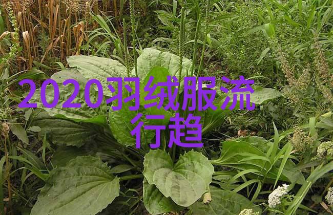 2秒钟后世界将如何改变