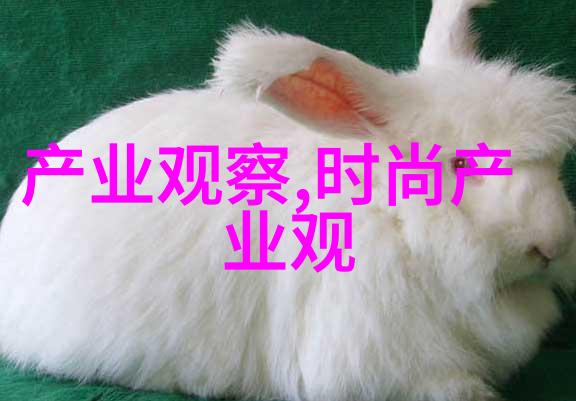 逆袭时尚男士穿搭大师的软件秘籍