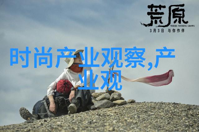 面纱下的自我一幅生命的轮廓