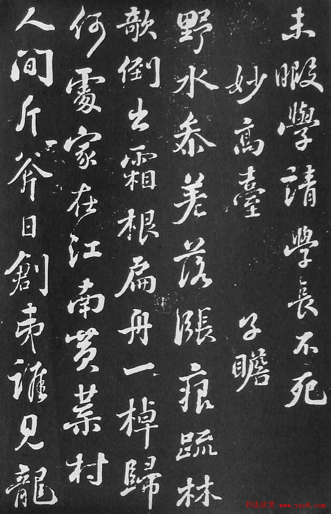 碧霄九重春意妩我与春天的那场悠长约会