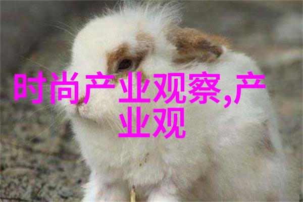 主题我是如何发现v领针织衫的魅力的小故事
