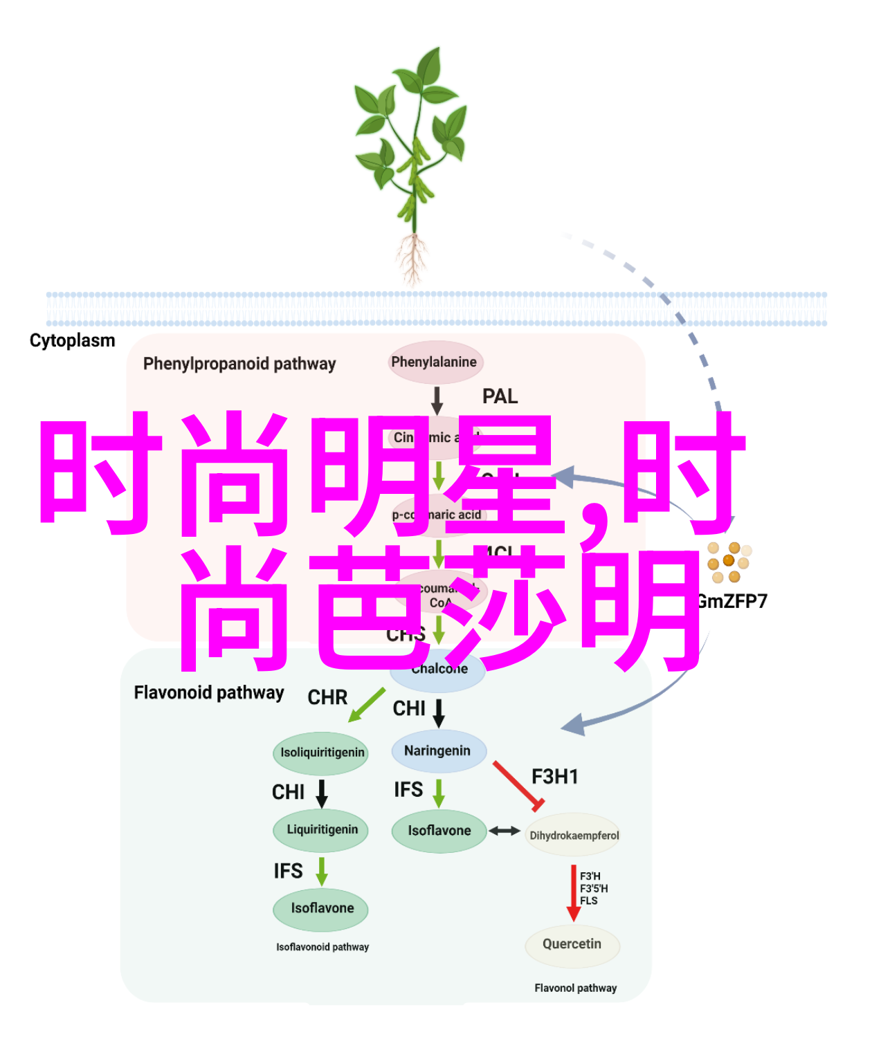 扭转乾坤之情咒-逆袭心语揭秘情感力量的奇妙操控