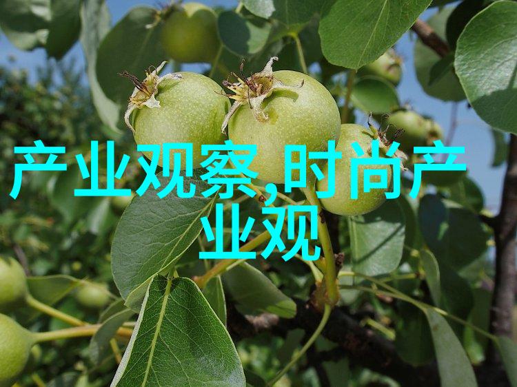 19岁潮流青少年男发型时尚青年男孩的现代发型潮流