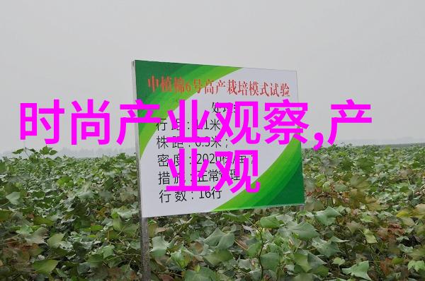 满射过载当存储空间成为限制的边界