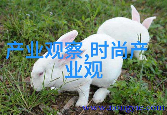 男士风格外套春季时尚搭配指南
