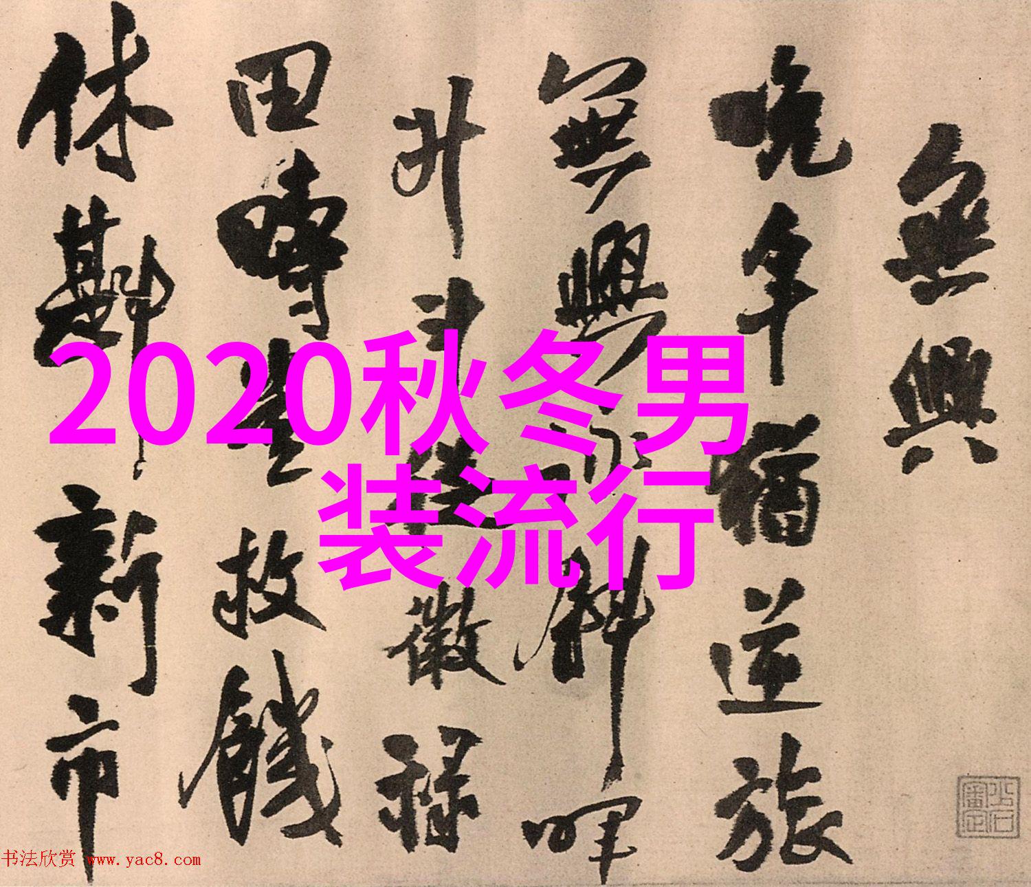 齐肩短发时尚现代女性的魅力