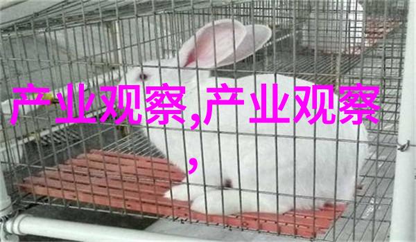 孽债1都市情缘的重生