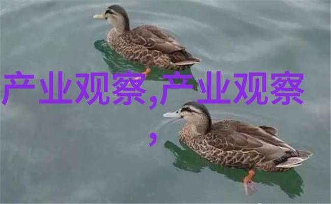 短发不简单2023最新款女生头发搭配技巧解析