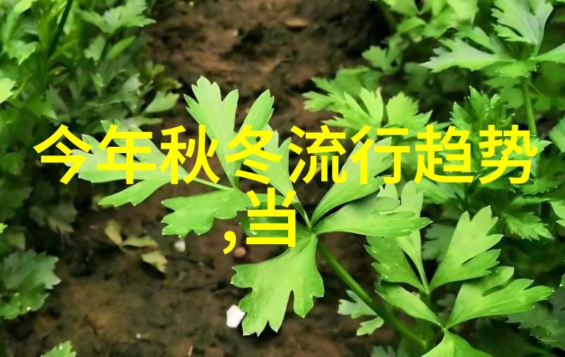 男士潮流穿搭追逐时尚的边界