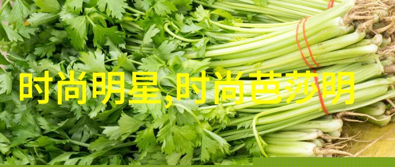 家中自修剪发指南安全时尚的家庭剪发教程