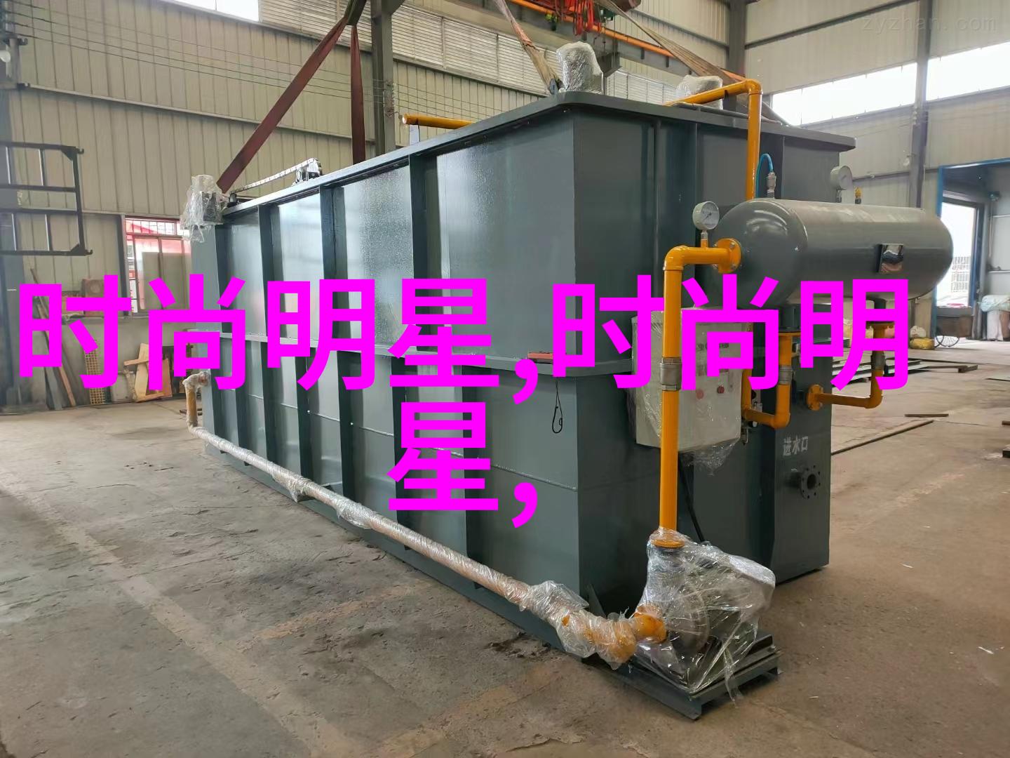 探秘爬行者的世界揭开八卦和动物行为的神秘面纱