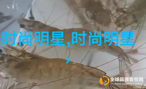 张艺谋前妻我和她的那些年电影后场的秘密故事