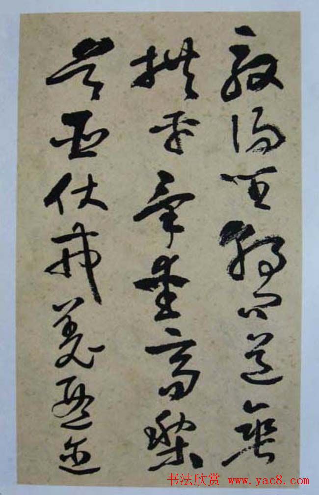 除了娱乐外度嘉班妮还能帮助人们实现什么样的社会价值