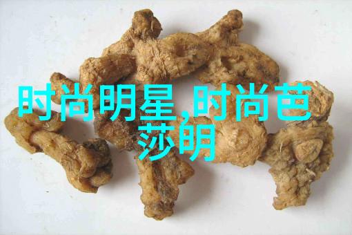 2023年美发时尚趋势展现新一代造型风格大放异彩