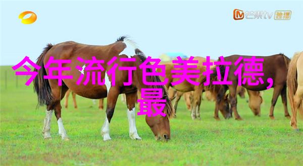 不喊停持续创造追逐梦想的不懈努力