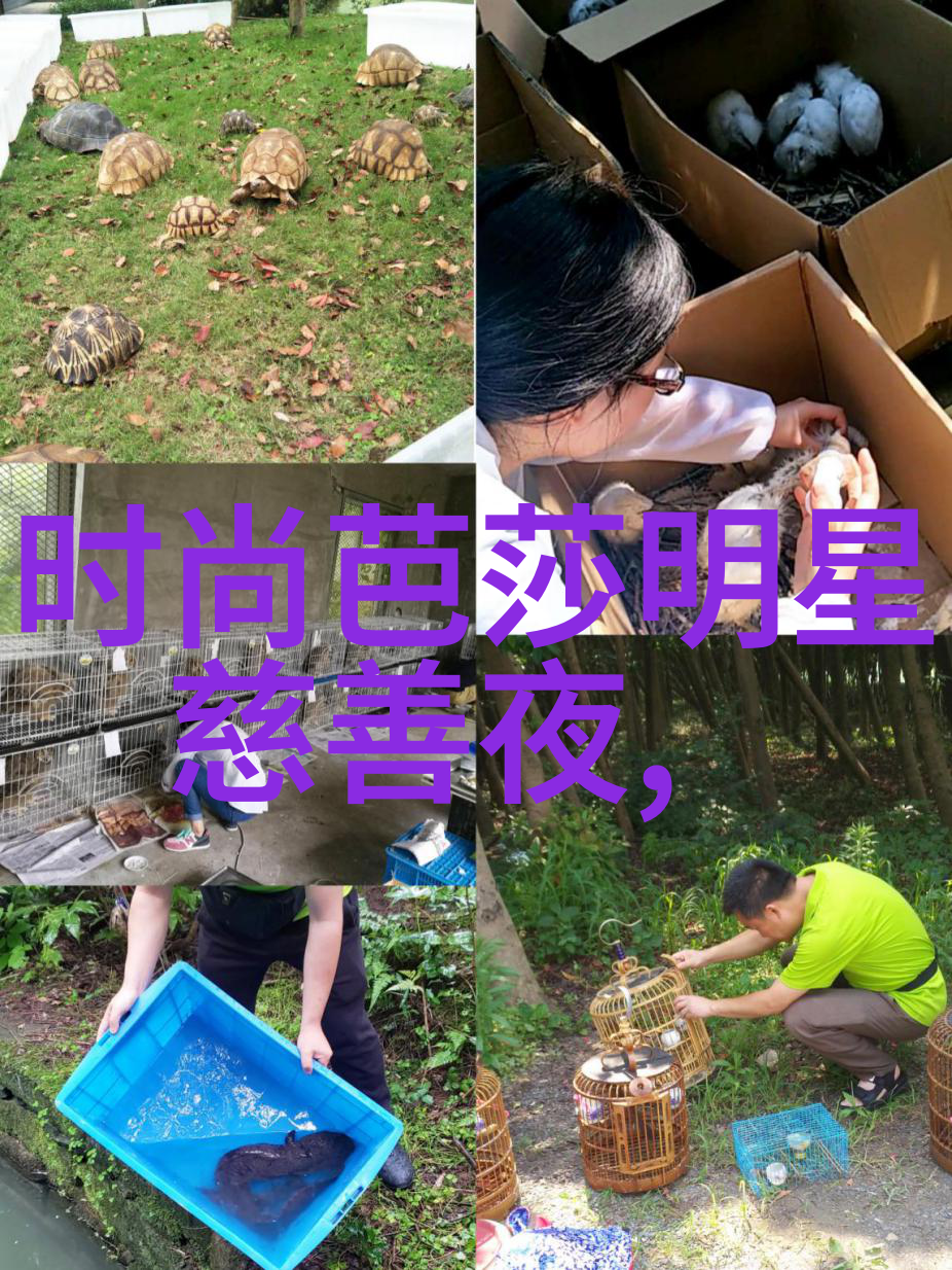 瑜伽老师花样多揭秘382章的灵动之谜