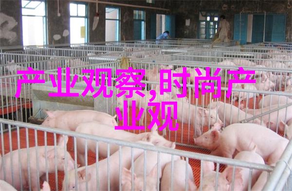 男士穿搭英雄121元上官喆配色ANTA百搭老爹鞋国货自强的拼多多故事