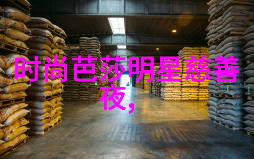 玉堂金闺精华回顾揭秘古代女性生活的珍贵窗口