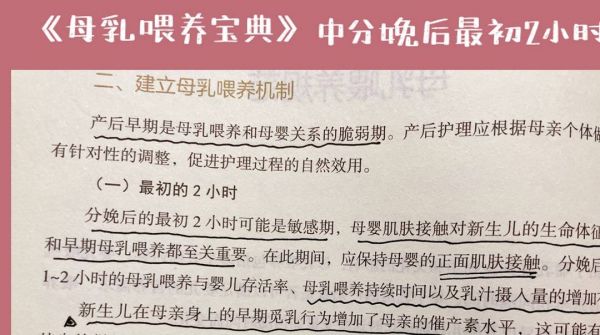 中国服装行业市场分析引领风潮卡塔尔航空夏季新菜单满足中国胃追求